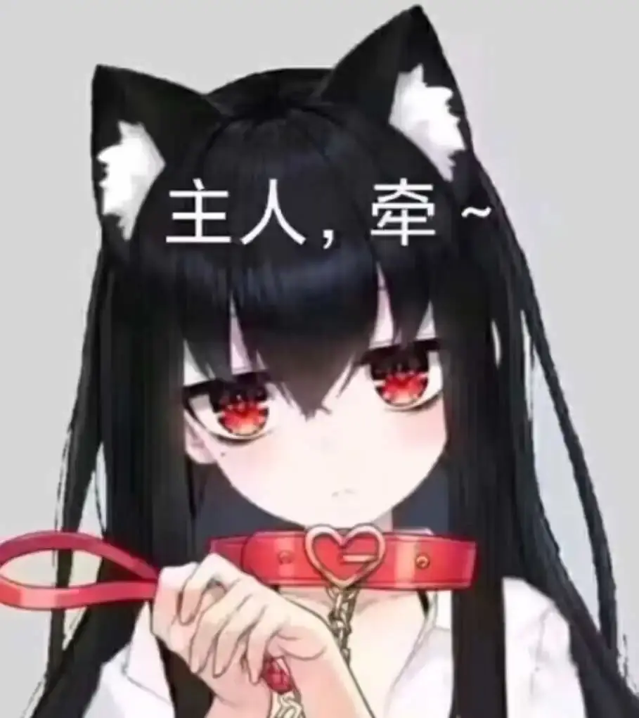 k9是什么 - 2023_11_10_21_21_IMG_8948