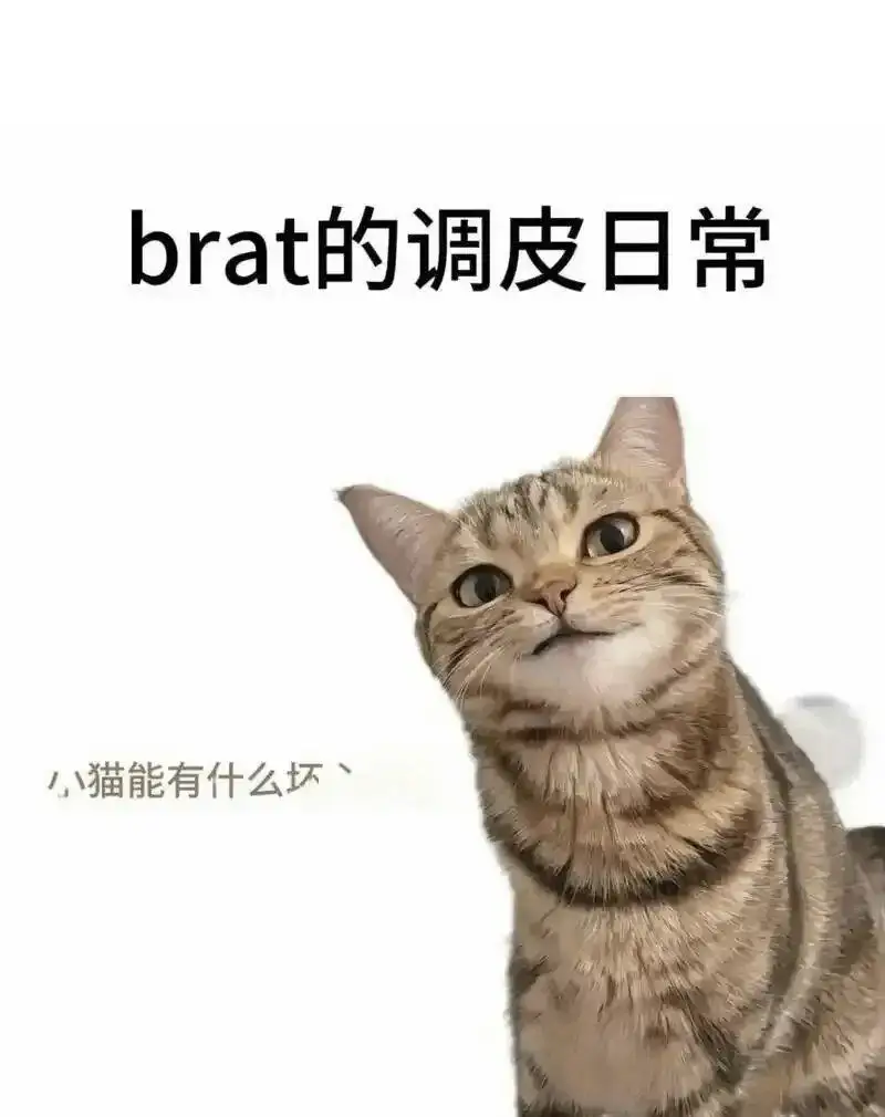 【西檬之家】字母圈的aftercare是什么及如何实践新人指南