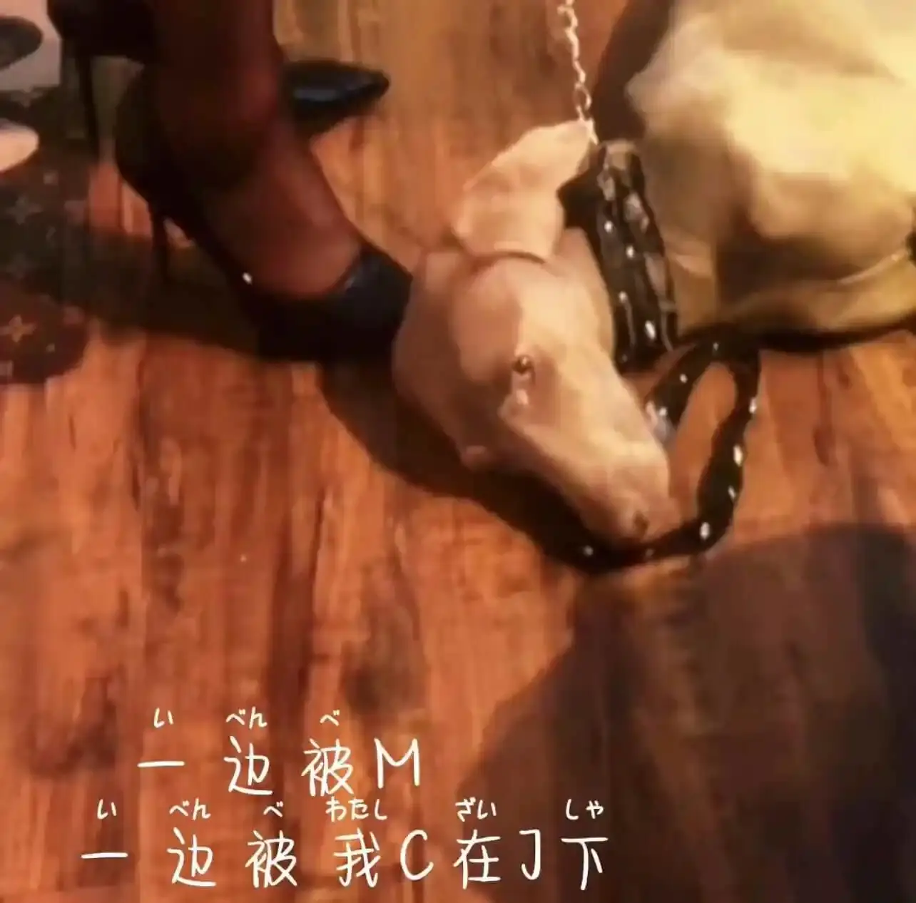 西檬之家-字母圈新人如何安全入圈？SSC原则与核心术语解析