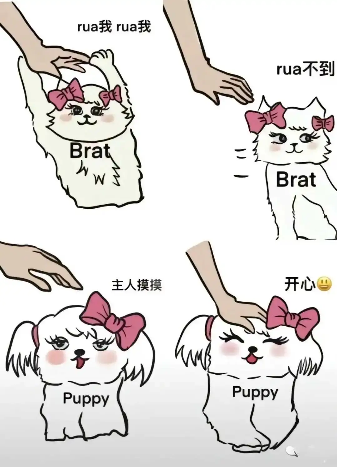 k9犬系 - 2023_12_05_21_27_IMG_9363