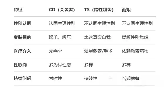 k8猫系 - 微信图片_20250726194851