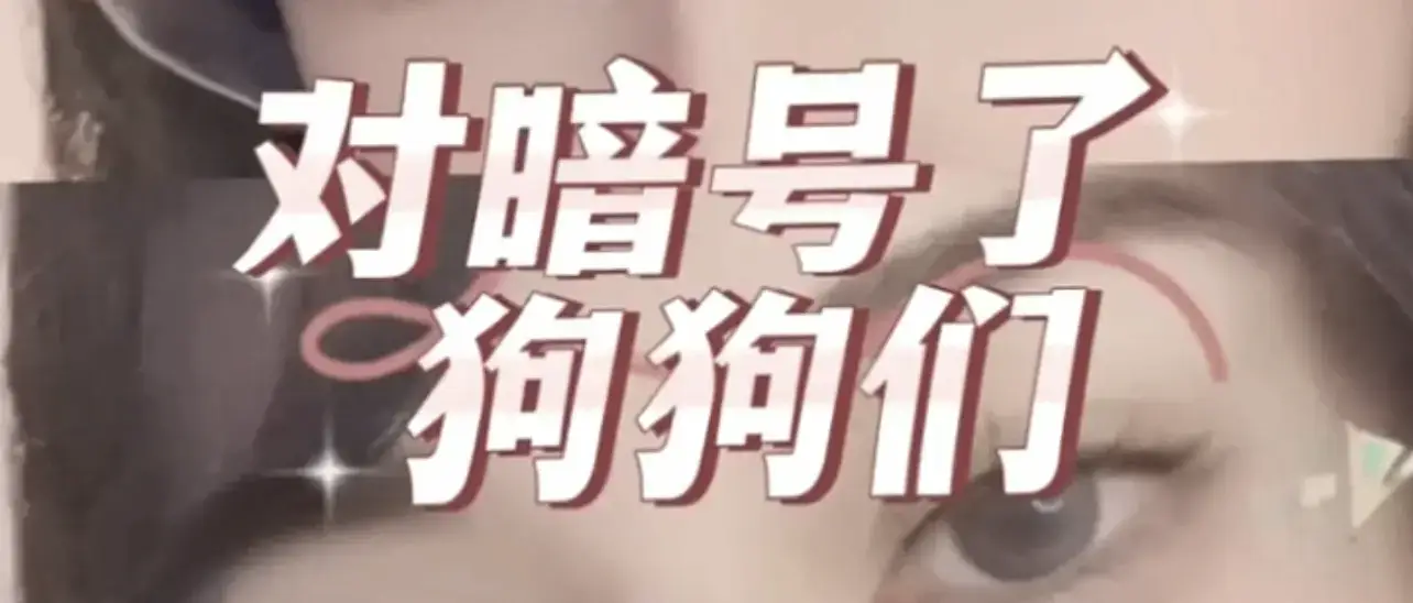 西檬之家-新人BDSM指南：从入门到精通的核心术语解析