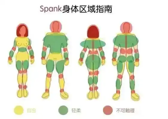 西檬之家-DS关系解析：从基础到实践的全面指南