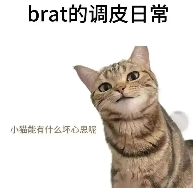 西檬之家：字母圈TK是什么？新时代社交互动的甜蜜探索