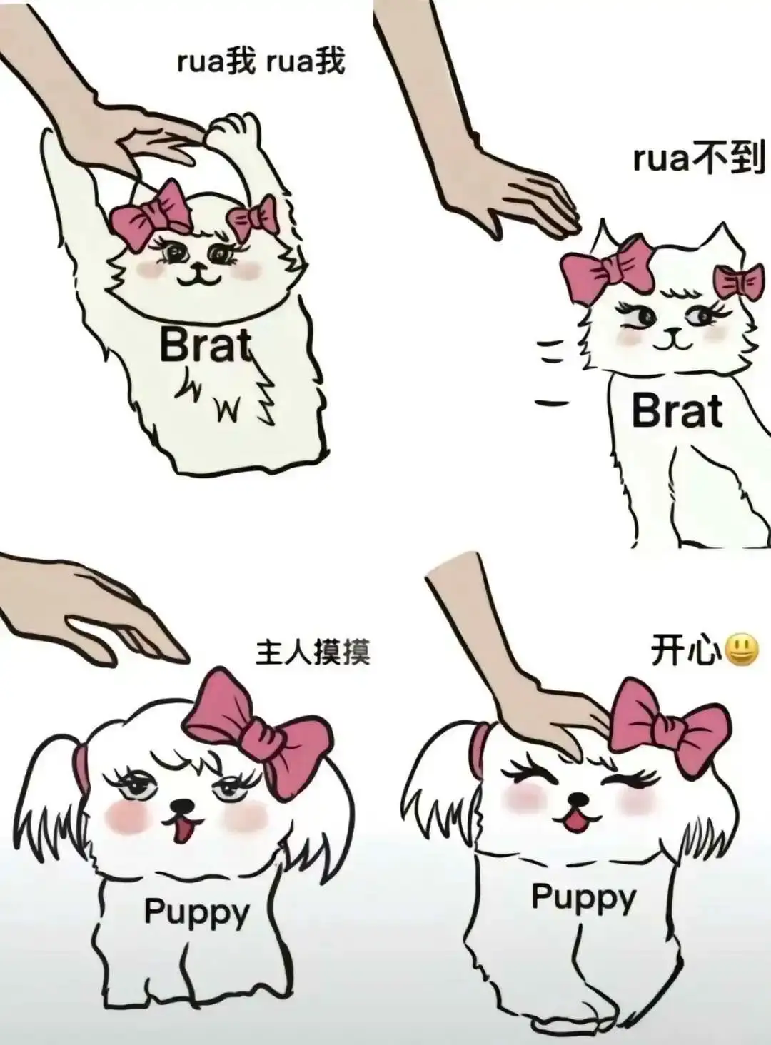【西檬之家】BDSM新手入门：理解字母圈的安全与边界
