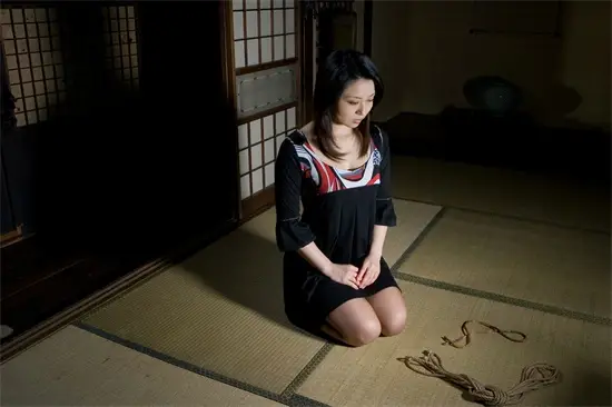 k8猫系 - 1358082