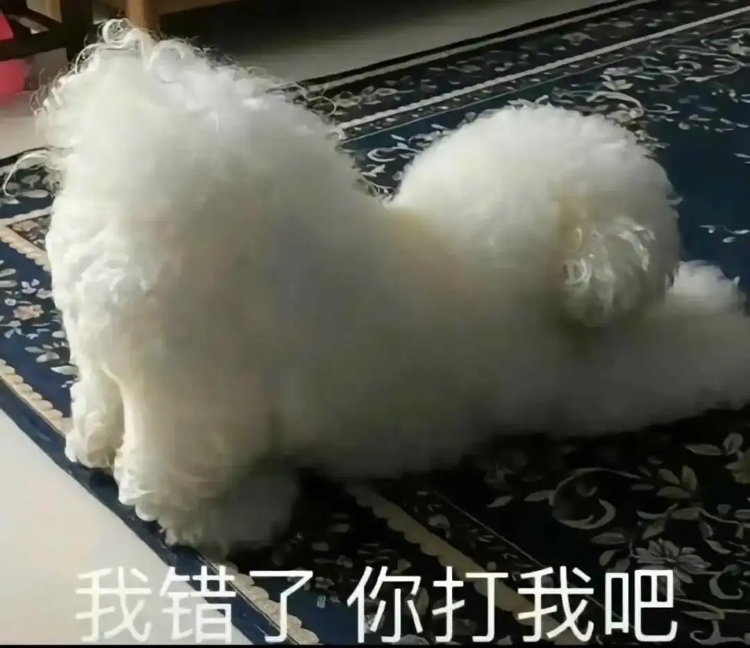 西檬之家-斯慕圈新人入圈指南