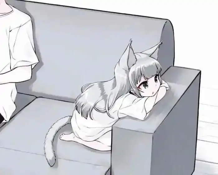 西檬之家-字母圈K8猫系新人入圈指南