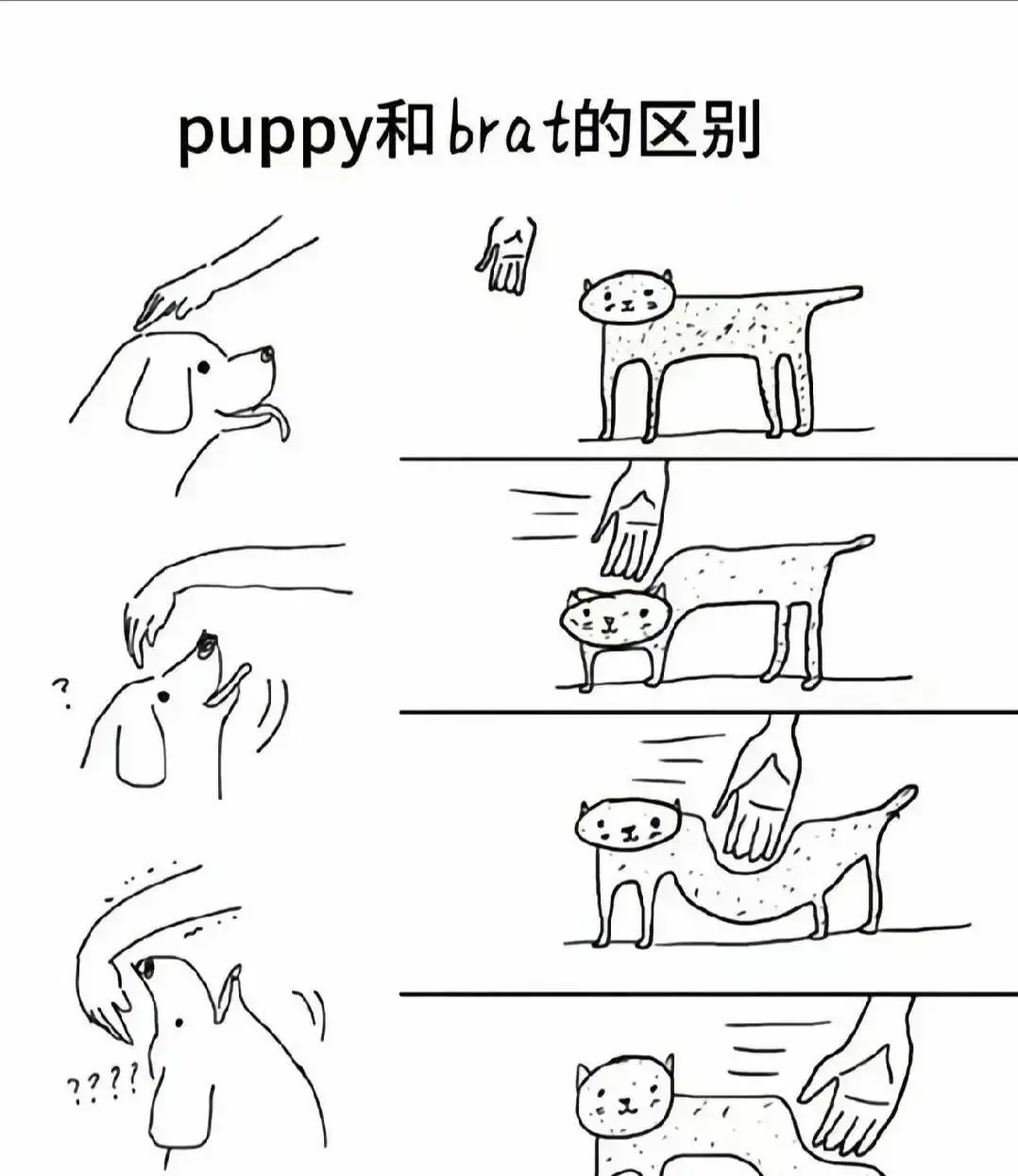 **西檬之家：字母圈新人MBDSM入门指南**